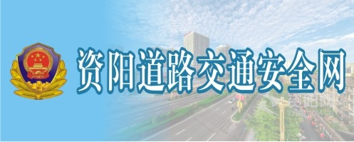 大鸡巴干美女资阳道路交通安全网